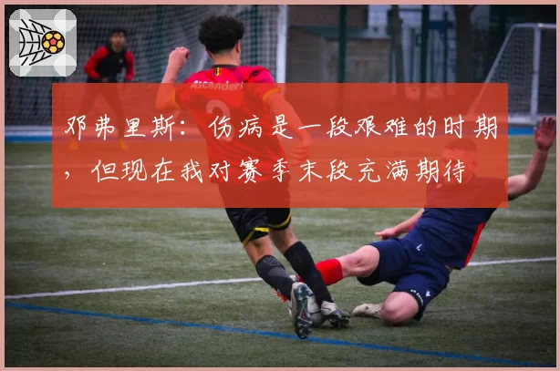 邓弗里斯:伤病是一段艰难的时期,但现在我对赛季末段充满期待