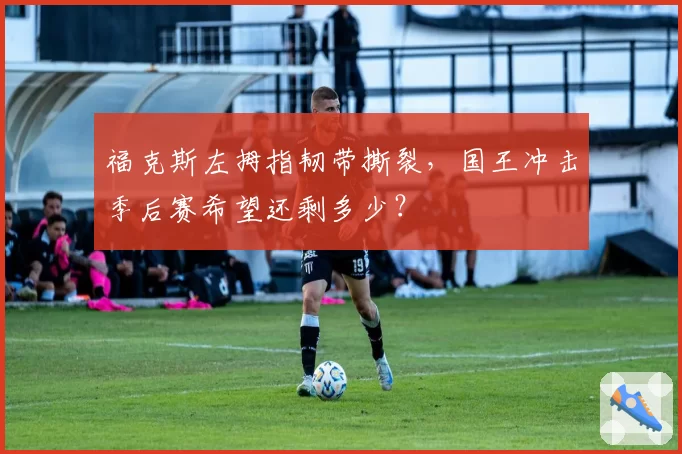 福克斯左拇指韧带撕裂,国王冲击季后赛希望还剩多少?