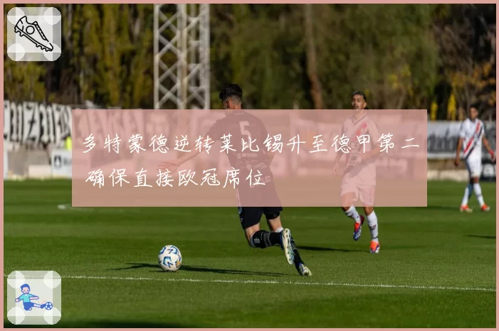 多特蒙德逆转莱比锡升至德甲第二 确保直接欧冠席位