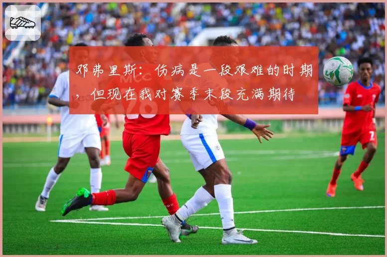 邓弗里斯:伤病是一段艰难的时期,但现在我对赛季末段充满期待